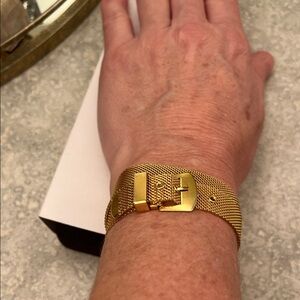 Gold Mesh Buckle Bracelet or Choker Necklace 14 inches